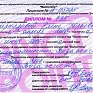 Беспрецедентный проект Примпогоды 
