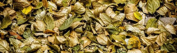 Ноябрь продолжает радовать жителей Приморья теплом