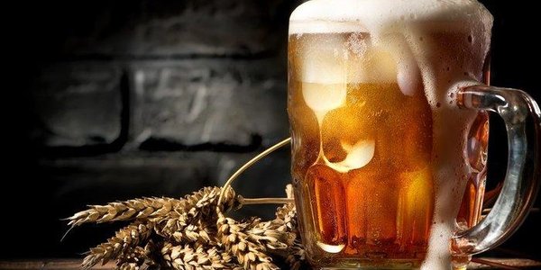 Учёные определили пользу пива