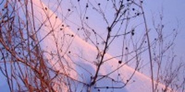 На юге России выпал розовый снег: метеорологи выяснили причины