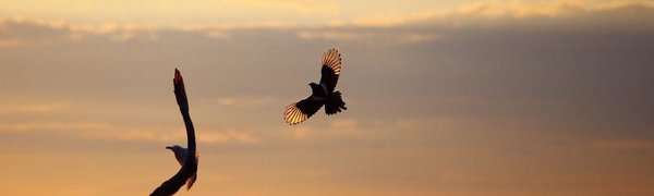 Неустойчивая погода пришла в Приморье. Прогноз погоды на рабочую неделю