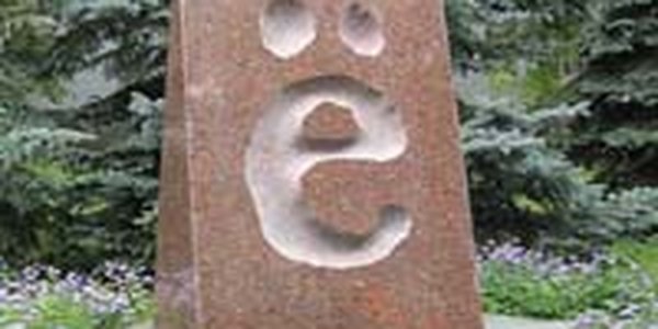 Министерство образования и науки подготовит закон о букве «ё»