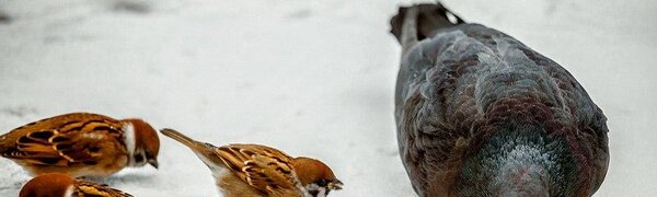 Неустойчивая погода сохраняется в Приморье