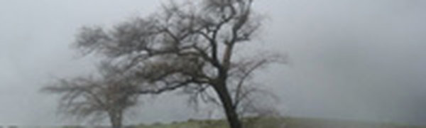 Штормовое предупреждение остается в силе