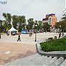 Время торопиться в Фестивальную деревню
