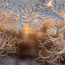 Самый холодный октябрь XXI века: Россия охвачена морозами от Санкт-Петербурга до Магадана