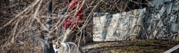 Выходные в Приморье будут по-весеннему тёплыми
