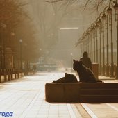 В воскресенье в Приморье ожидается оттепель