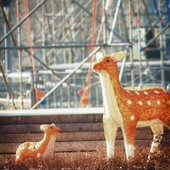 В воскресенье в Приморье ожидается оттепель