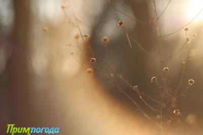 Тёплые выходные ждут жителей и гостей Приморья