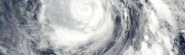 Стало известно об образовании нового тайфуна в Тихом океане