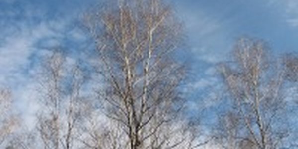 Погода в Приморье на выходные дни