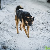Аномальные холода не хотят покидать Приморье