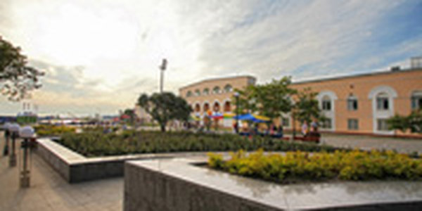 Антициклон обеспечивает в Приморье солнечную погоду