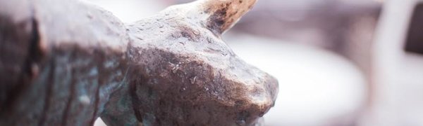 В начале недели погода в Приморье немного ухудшится