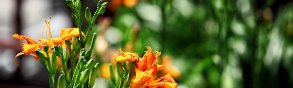 Грозы и жара до +34 °C ждут Приморье во вторник