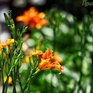 Грозы и жара до +34 °C ждут Приморье во вторник