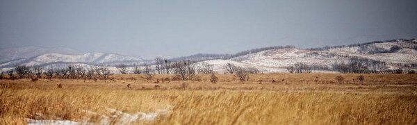 В ближайшие сутки похолодание в Приморье продолжится