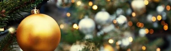 Ёлки во Владивостоке будут продавать на 20-ти площадках