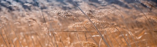 Минувшая суббота в Приморье стала самым теплым днем февраля