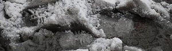 Из-за теплой погоды в Приморье тает снег