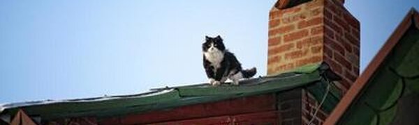 Немного похолодает в Приморье во вторник