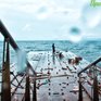 Завтра во Владивостоке и в Приморье ожидается дождливая погода