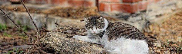 В четверг в Приморье будет относительно прохладно
