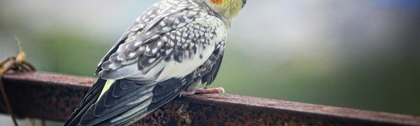 Градус вниз: аномальное похолодание накрыло Владивосток