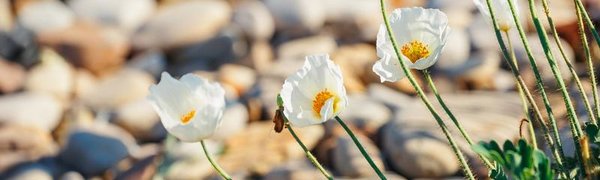 В начале следующей недели в Приморье вернётся жаркая погода