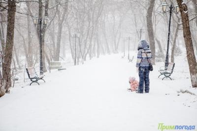 В субботу в Приморье пройдет снег