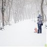 В субботу в Приморье пройдет снег