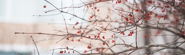 Владивосток ожидают снежные выходные