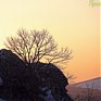 Юг Приморья: Полуостров Краббе