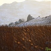 Юг Приморья: Полуостров Краббе