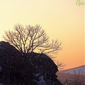 Юг Приморья: Полуостров Краббе
