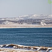 Юг Приморья: Полуостров Краббе