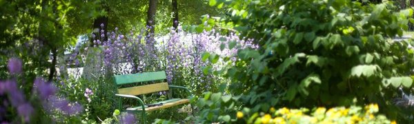 В субботу воздух во Владивостоке прогреется до +28 °C