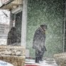 В выходные в Приморье усилится ветер и выпадет снег
