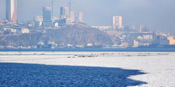 Чем дышал Владивосток с 19 по 31 января?