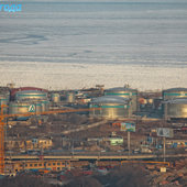 Нетронутая природа посреди города: утки под крылом НК 