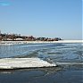 Нетронутая природа посреди города: утки под крылом НК 