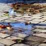 Осень вступает в свои права