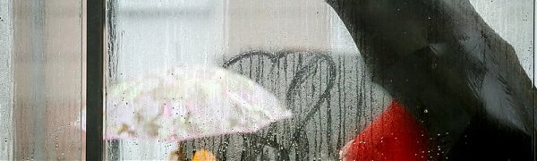 В Приморье пришла дождливая погода