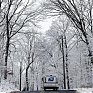 Снежный шторм парализовал северо-восток США