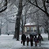 Снежный шторм парализовал северо-восток США