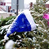 Накануне Нового года во Владивостоке прошёл долгожданный снег