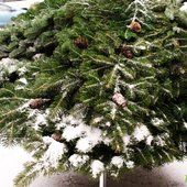 Накануне Нового года во Владивостоке прошёл долгожданный снег