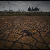 Ужасы китайской экологии (ФОТО)