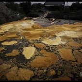 Ужасы китайской экологии (ФОТО)